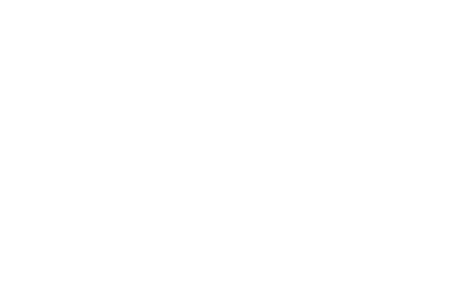 Flukka
